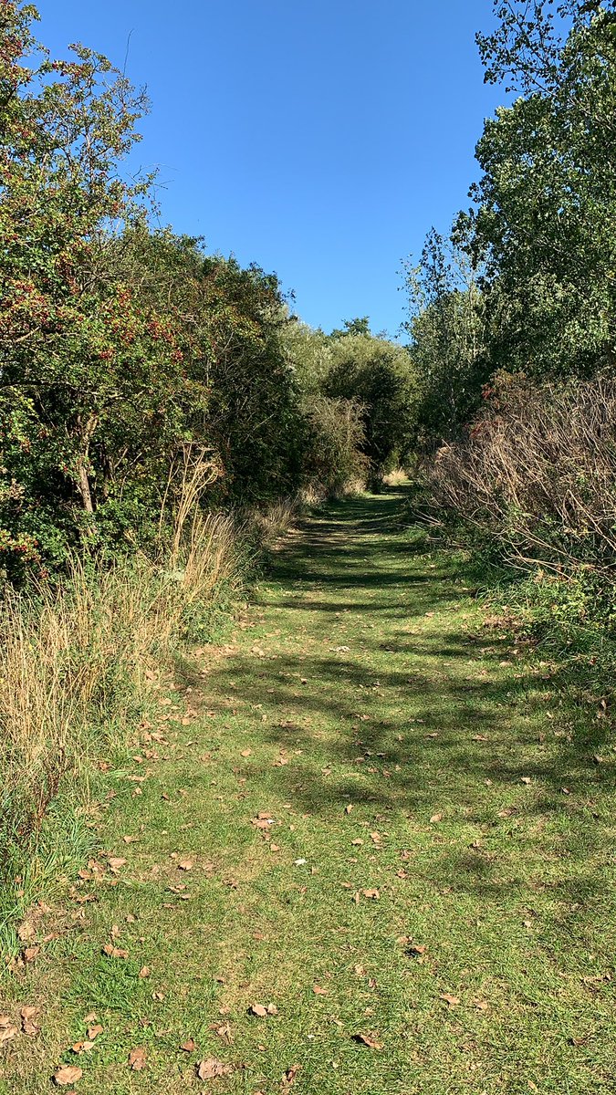 Loving attending #NPDC21 for postdoc appreciation week. Listening and participating on zoom app while out walking in the sunshine #sitless #activeworking