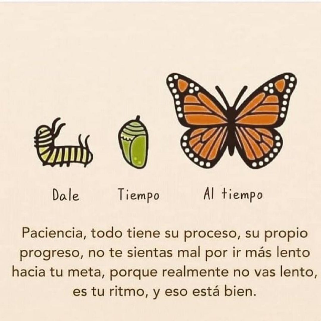 NachoMurugarren's tweet photo. Repitelo siempre que lo necesites.  
"ES TU PROCESO Y ESO ESTA BIEN" 
#coach  #ignaciomurugarren #pnl https://t.co/FI9YiNcL5D