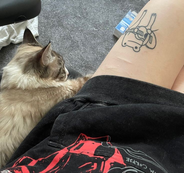 Posnihachu (@posnihachu) / Posts / X