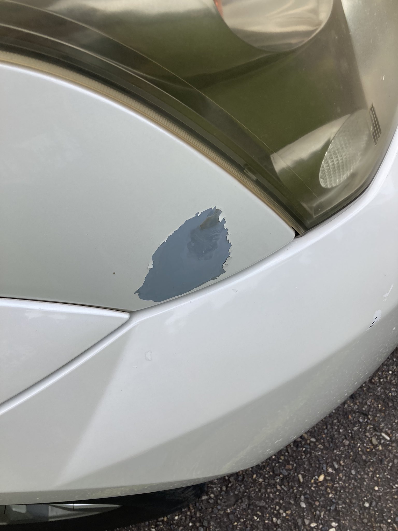 剥がれた理由は太陽光 すごいだろ これで修復歴なし 板金塗装歴無しの車だぜ 笑わせてくれるぜ これが飛び石 太陽光 んなわけあるかい これで保証しません 対象外です 原因聞いても分かりません やばすぎ笑笑 トヨタ 塗装剥がれ ホワイト