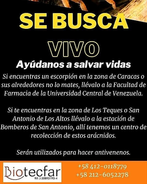 ecopracticas's tweet photo. #alacranes #antidoto #antiveneno  #suero https://t.co/7fwVZX361Q
