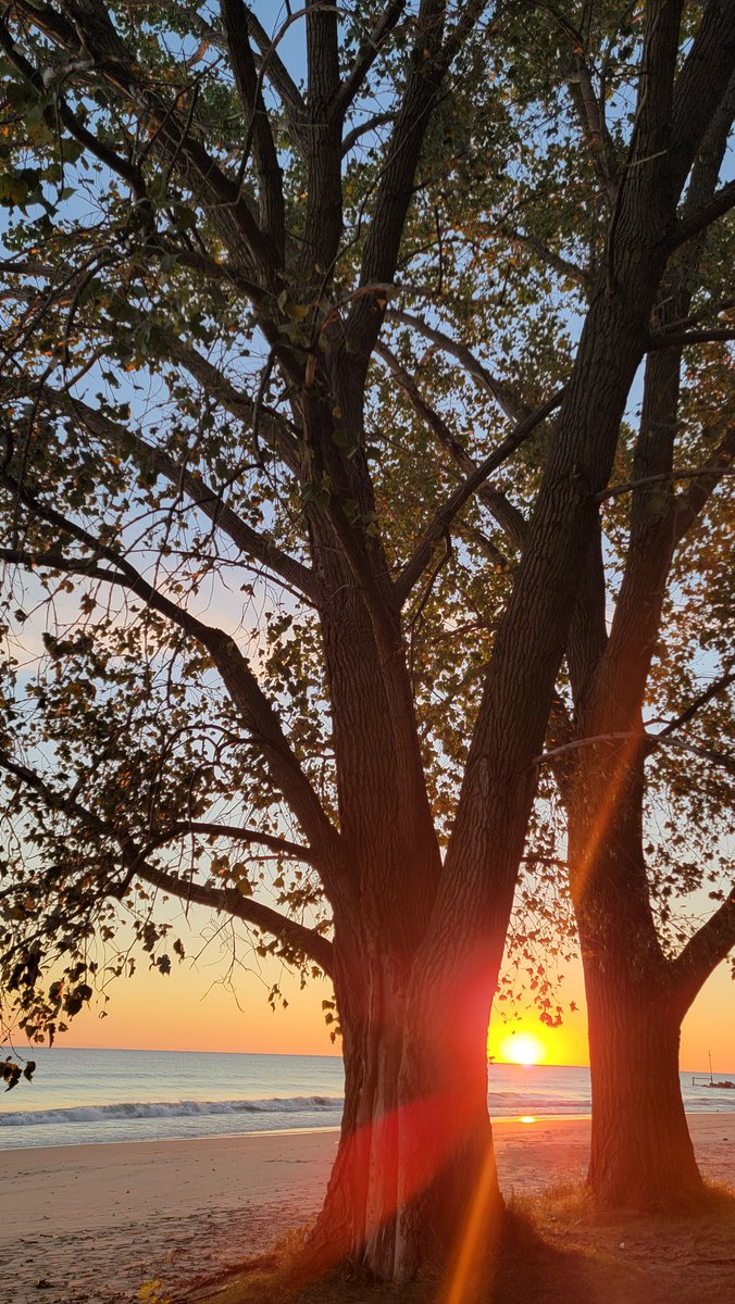 Academy911's tweet photo. @spann here's to the weekend!
#weatherwatch #watchweather #weatherspotter #weatheryoulikeitornot #weatheringwithyou #spannwx #sunrise #greatlakes #lakemichigan #chicago #illinois #usa πΊπ² https://t.co/sovaZhveE1