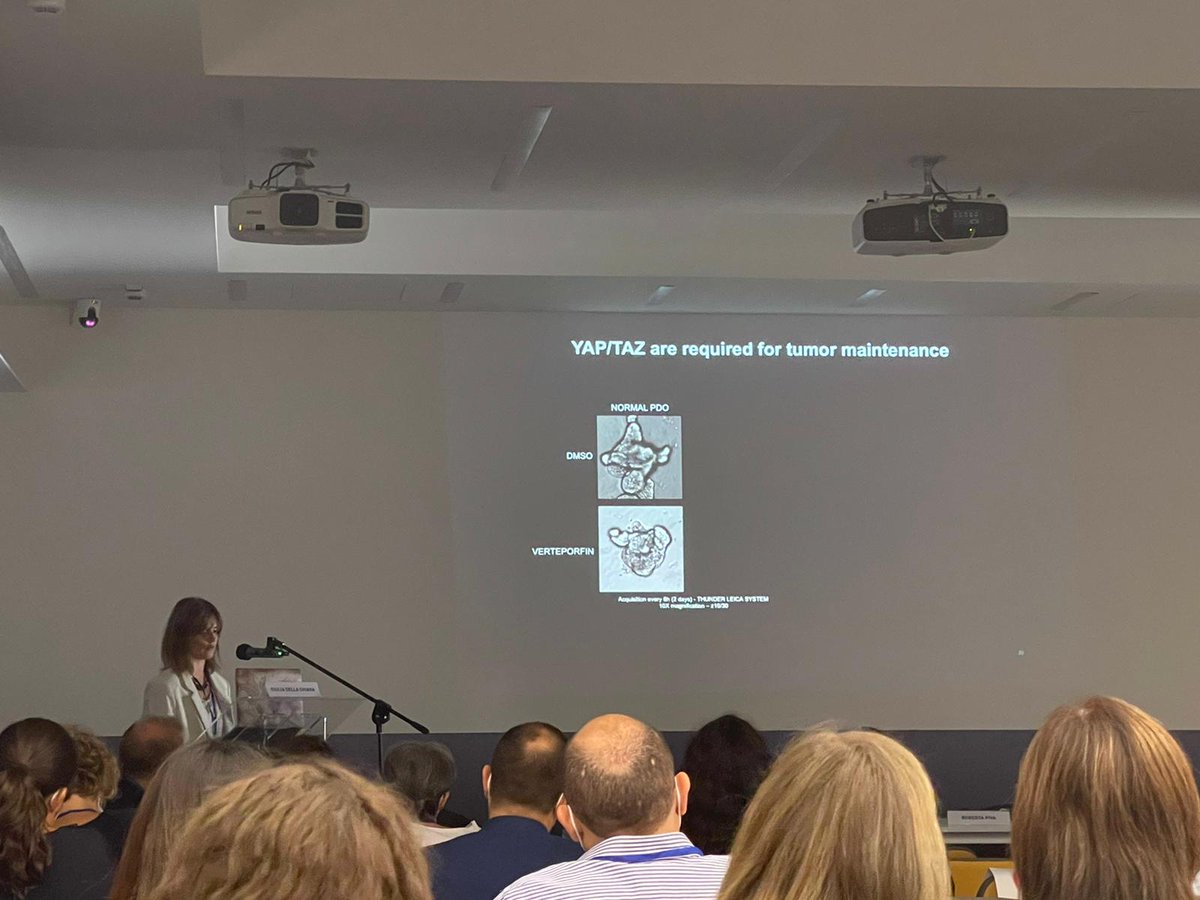 GiuDella's tweet photo. It has been a great pleasure presenting in presence our work @LabPagani @ifom @LaStatale on the #epigenetic rewiring of #pan #cancer #enhancers in human #CRC #organoids https://t.co/Zrqq98h9e5. Special thanks to the first international #StemNet meeting and their organizers https://t.co/MWOcSI14fE