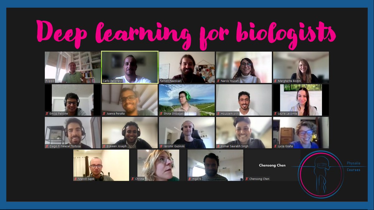 Physalia-courses@ONLINE tweet media