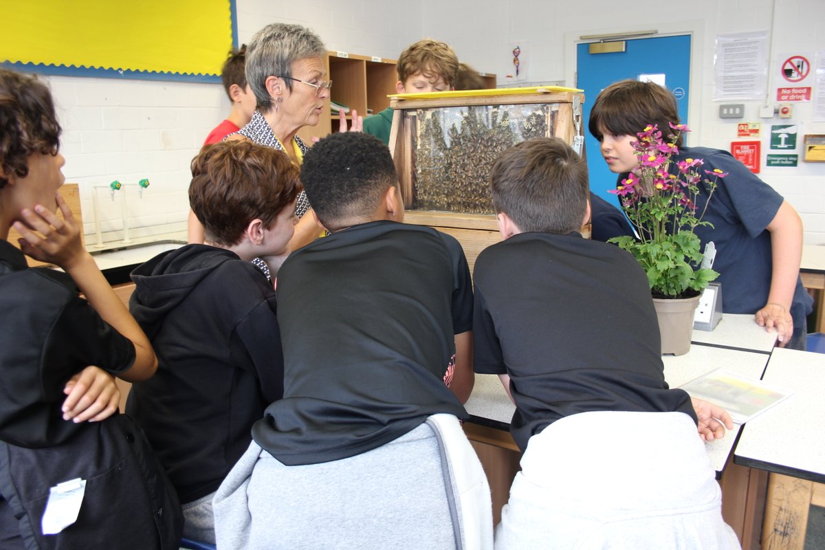 Acland_Burghley's tweet photo. This term we had the Beekeepers visit our Y7-9 Science classes to discuss the life cycle of #bees and their importance in food production whilst looking at live bees in an observation hive. Our students were buzzing with enthusiasm! @LondonBeeKeeper #Beekeeping #Honeybeeprogramme https://t.co/jZ4ljVqjsa