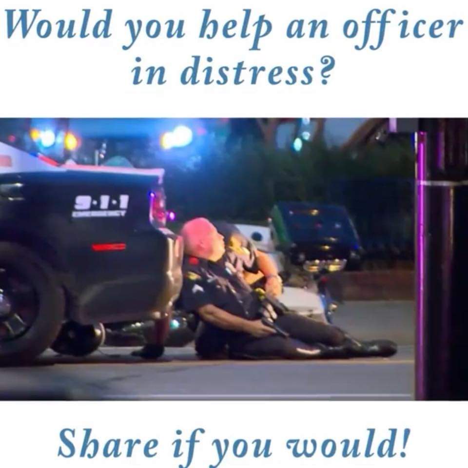 Sicilianmafia13's tweet photo. Damn right I would how about you https://t.co/Gv8xquybRb