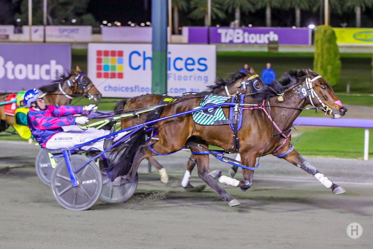 RacingWAHarness's tweet photo. A huge moment for @carish_smith and @micheal_fergie with Rockaball winning the Gr.3 The Warwick at @GloucesterPark at $112.60 on @TAB_touch! 

#TheTrotsWA | 📸: @_HamiltonCC https://t.co/HXHXUlWq04