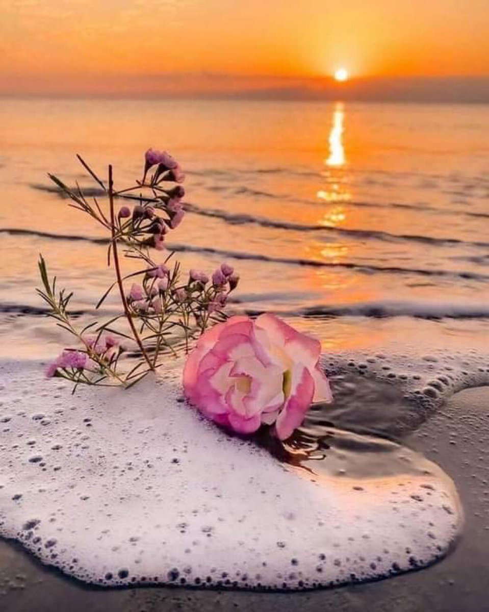 j_linmar's tweet photo. Every feeling that you conceal excavates pain, leaves scars, prevents joy, and waters forms and colors from torment.#Linmar #Anxiety #affirmation #BELIEVE #Blessed #fridaymorning https://t.co/IrJeMpqdqr