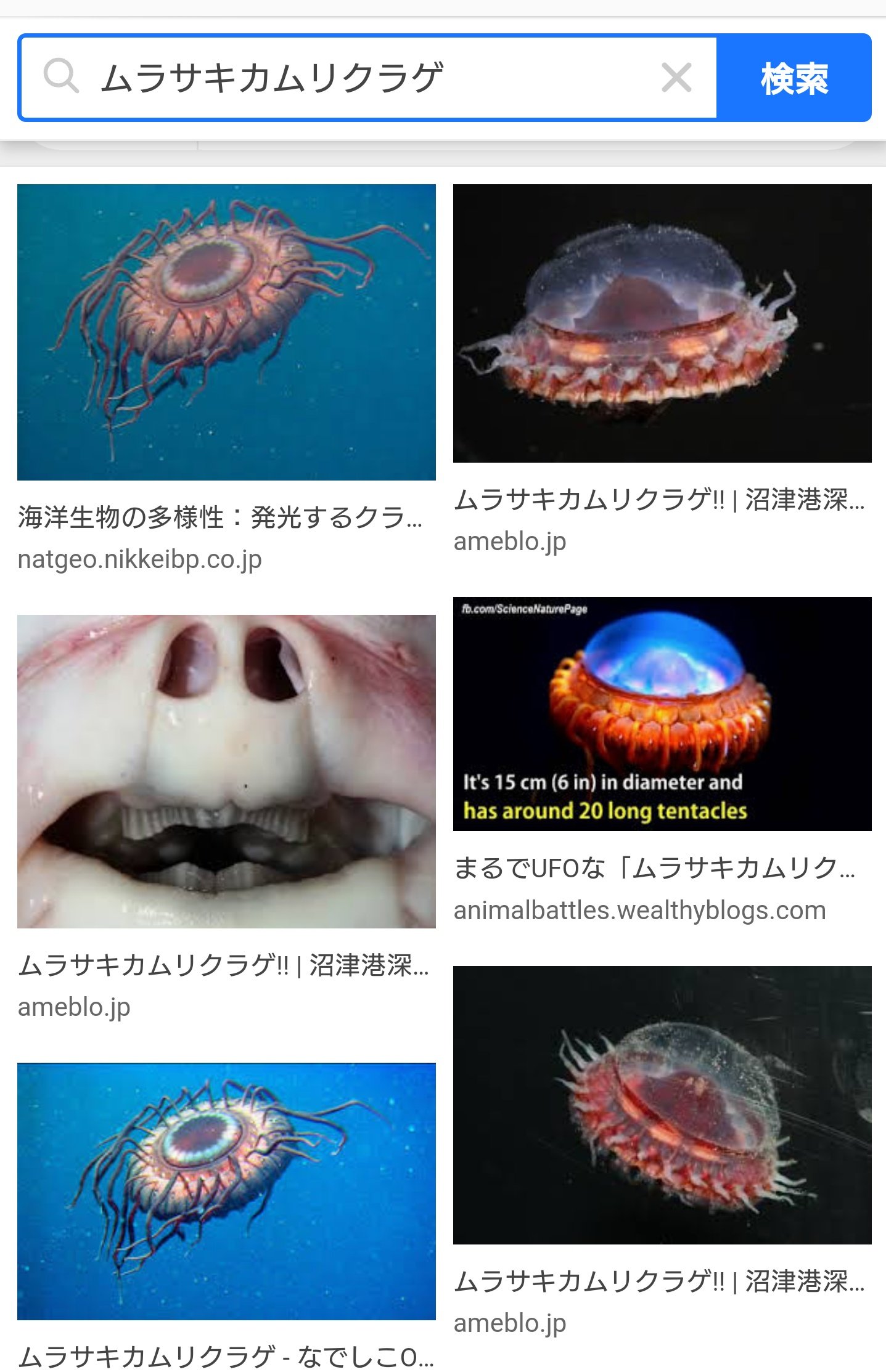 いぶおや Obake1525 ムラサキカムリクラゲ これまた深海生物らしさ溢れるお姿 深海生物に なり 人間の心を持ち越して深海に行ったら まずはずっと真っ暗で音もない世界に慣れるの大変そうよ T Co 5hk71bbtb6 Twitter