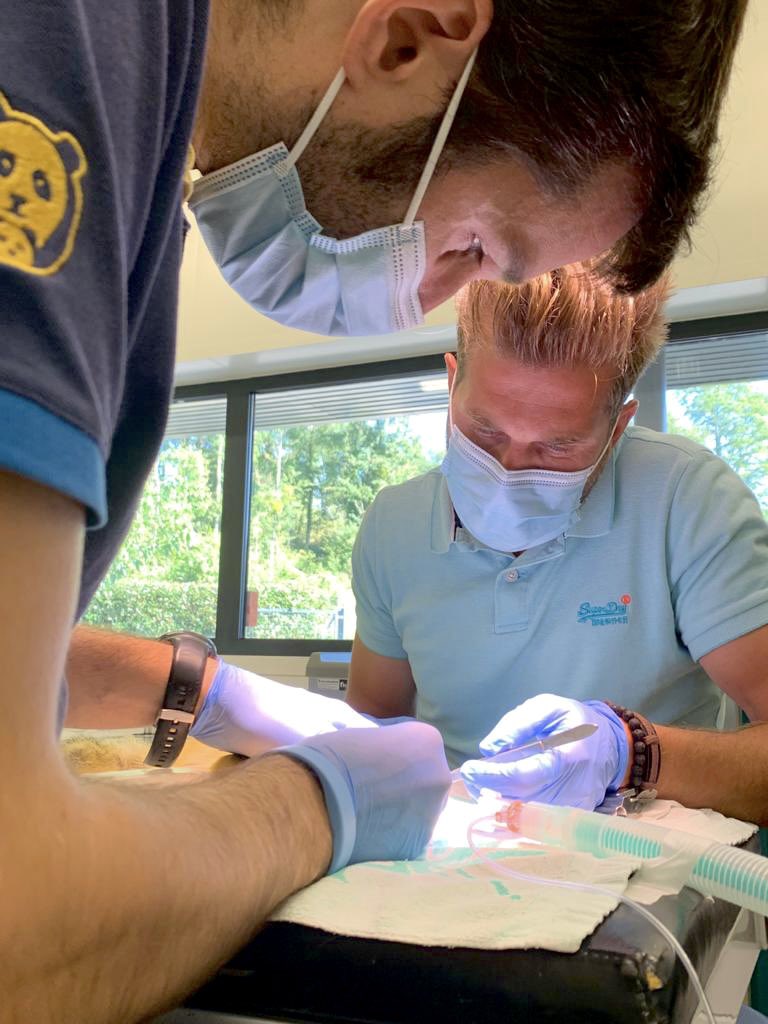 LudovicDaxhelet's tweet photo. Vis ma vie d’animateur... 🙈 #Day2 #ExtractionCanine #Saïmiri #singe #lovemyjob #tvshow #PlanèteZoo #Saison3 https://t.co/fVqSHkf50d