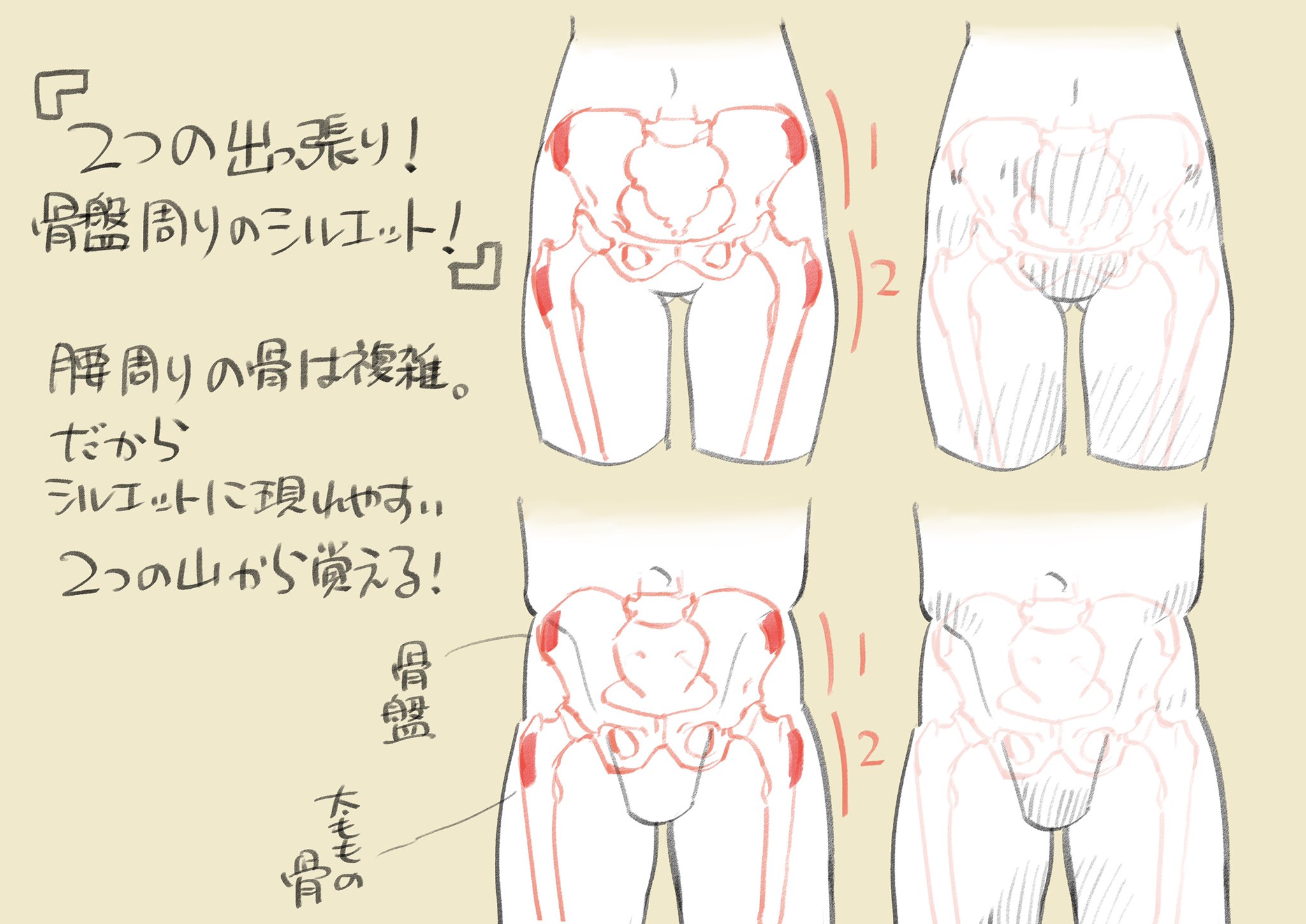 下田スケッチ 絵の描き方 こだわり強め 骨盤周り攻略ポイント T Co Vmcw6mvdrw Twitter