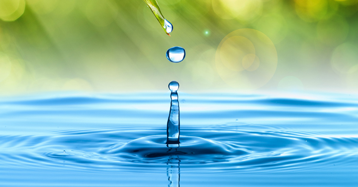 LifeSoils tweet media