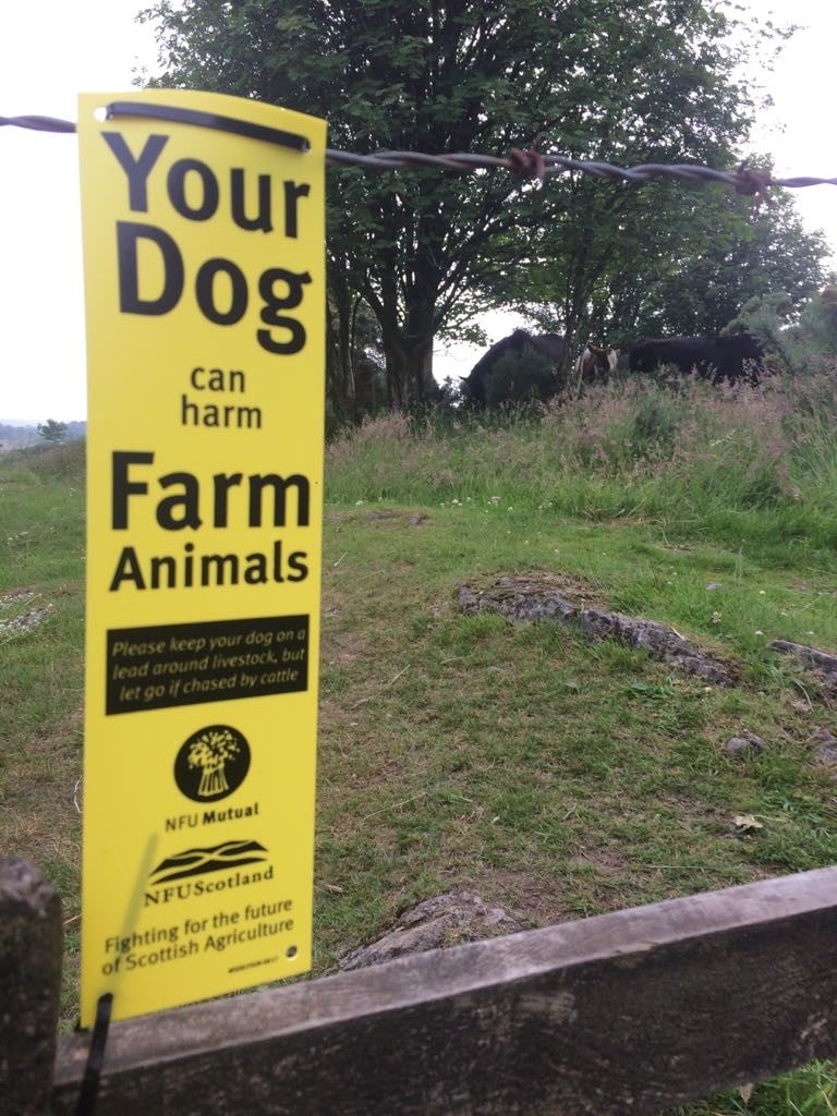 PSOSNorthEast's tweet photo. Following recent reports of potential sheep worrying at a farm near to #Kingswells we are reminding people of their responsibilities as dog owners if in the same area as livestock.
Full details on our Facebook page
π
https://t.co/A4AwSeTVai
#KeepingDogsSafe
@NFUStweets https://t.co/doYLgVd6f2