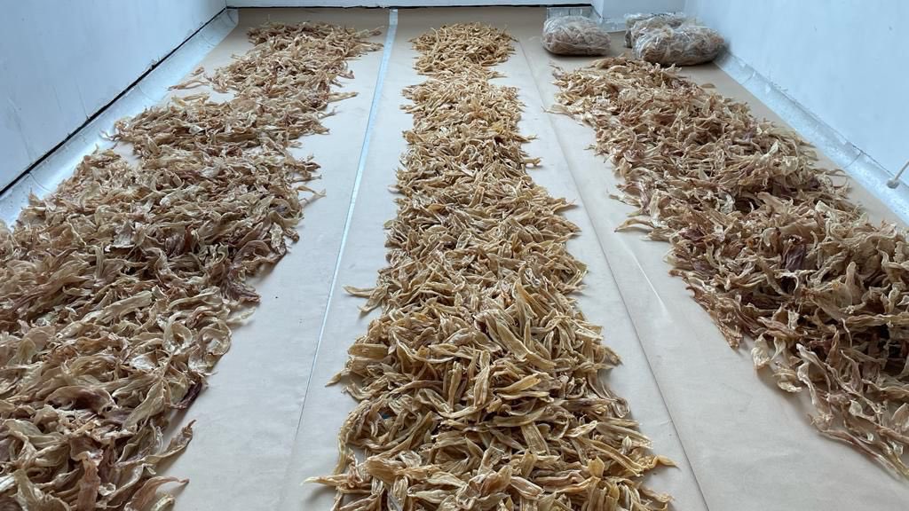 colinita's tweet photo. Inaudito. En el aeropuerto El Dorado @Ambientebogota incautó 3493 aletas de tiburón y 117 kilos de vejigas natatorias de pez que iban a ser enviadas a Hong Kong. Entre 900 y 1000 tiburones fueron sacrificados. Total rechazo a estas conductas que afectan la fauna de nuestro país. https://t.co/ZaKX9wDWFd