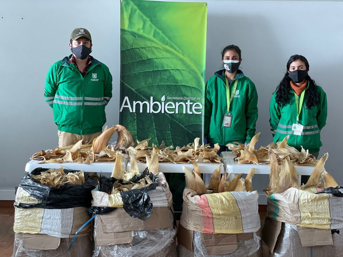 colinita's tweet photo. Inaudito. En el aeropuerto El Dorado @Ambientebogota incautó 3493 aletas de tiburón y 117 kilos de vejigas natatorias de pez que iban a ser enviadas a Hong Kong. Entre 900 y 1000 tiburones fueron sacrificados. Total rechazo a estas conductas que afectan la fauna de nuestro país. https://t.co/ZaKX9wDWFd