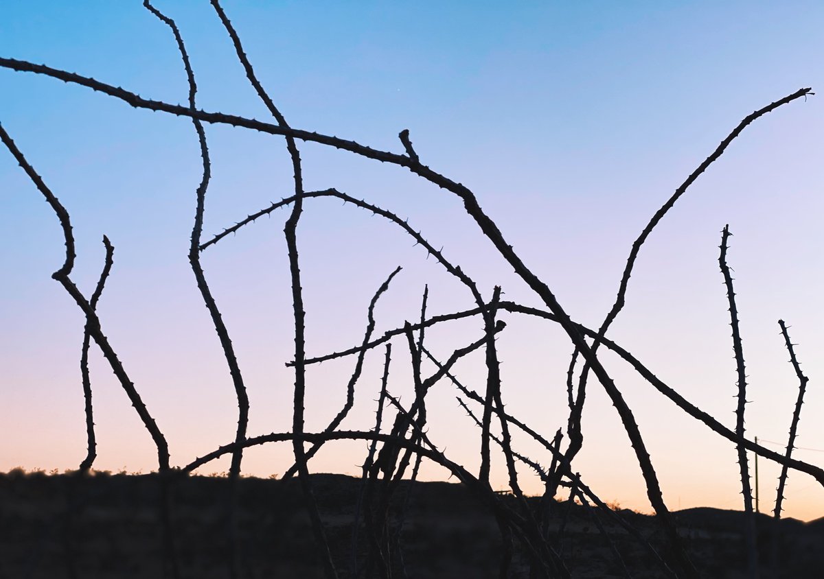 Sunrise, bike the desert mesa, kayak the Rio Grande, &amp; a geothermal soak, in the most underrated nat’l park. #bigbend #santaelanacanyon Kayak 📸  @The_Gilp