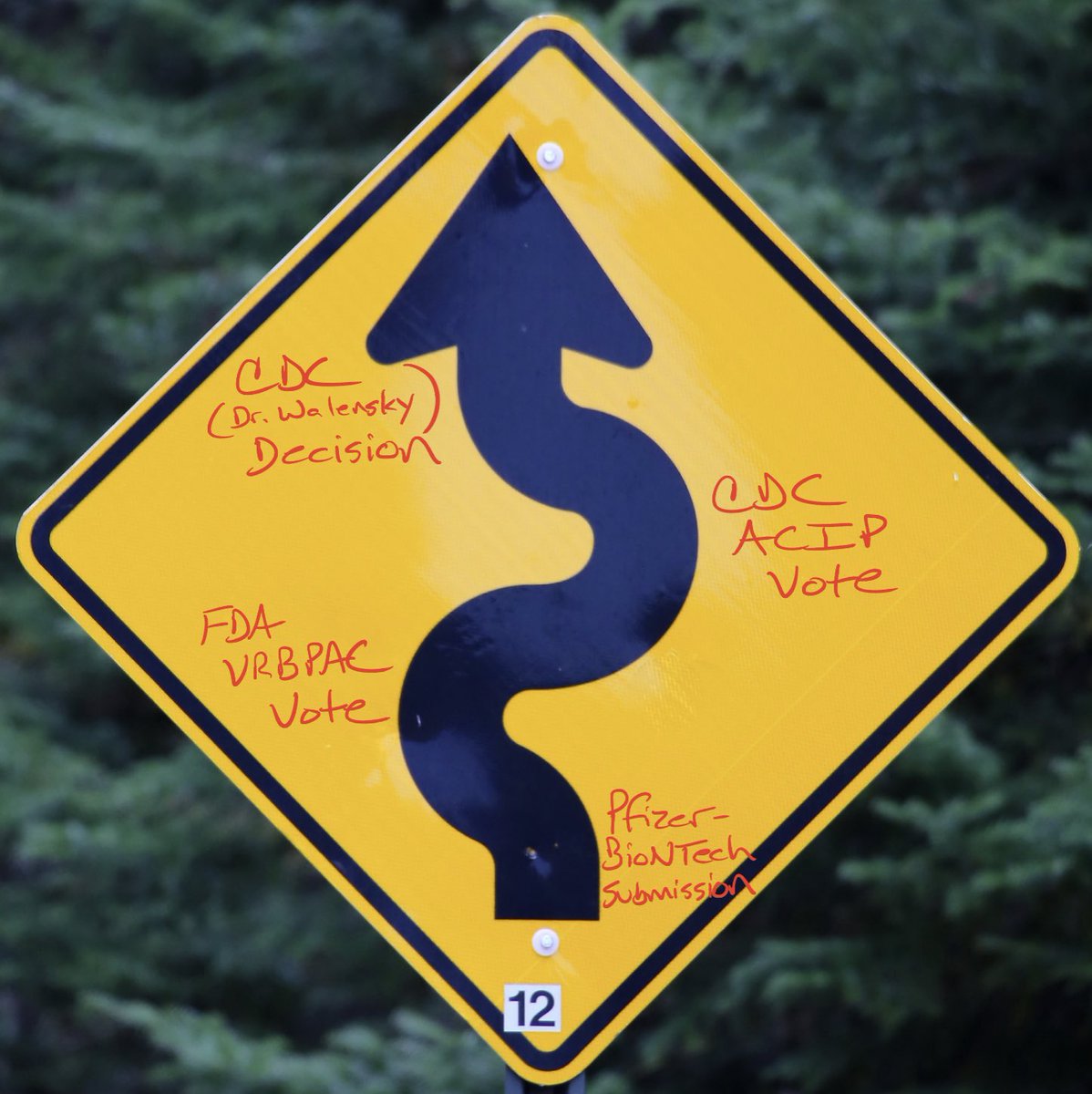 The booster saga continues! Last night, CDC’s ACIP excluded those in high-risk jobs from booster recommendation. Then, in rare fashion, CDC Director Dr. Walensky overruled ACIP and aligned w/ FDA. Here’s my visual of the past 48 hrs in the saga! (Background image by Mark König)