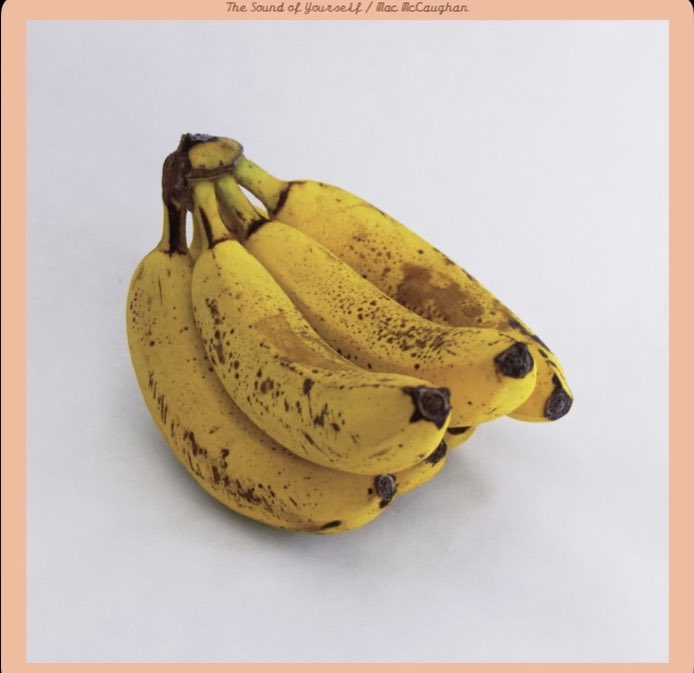 Scott Rieger tweet media