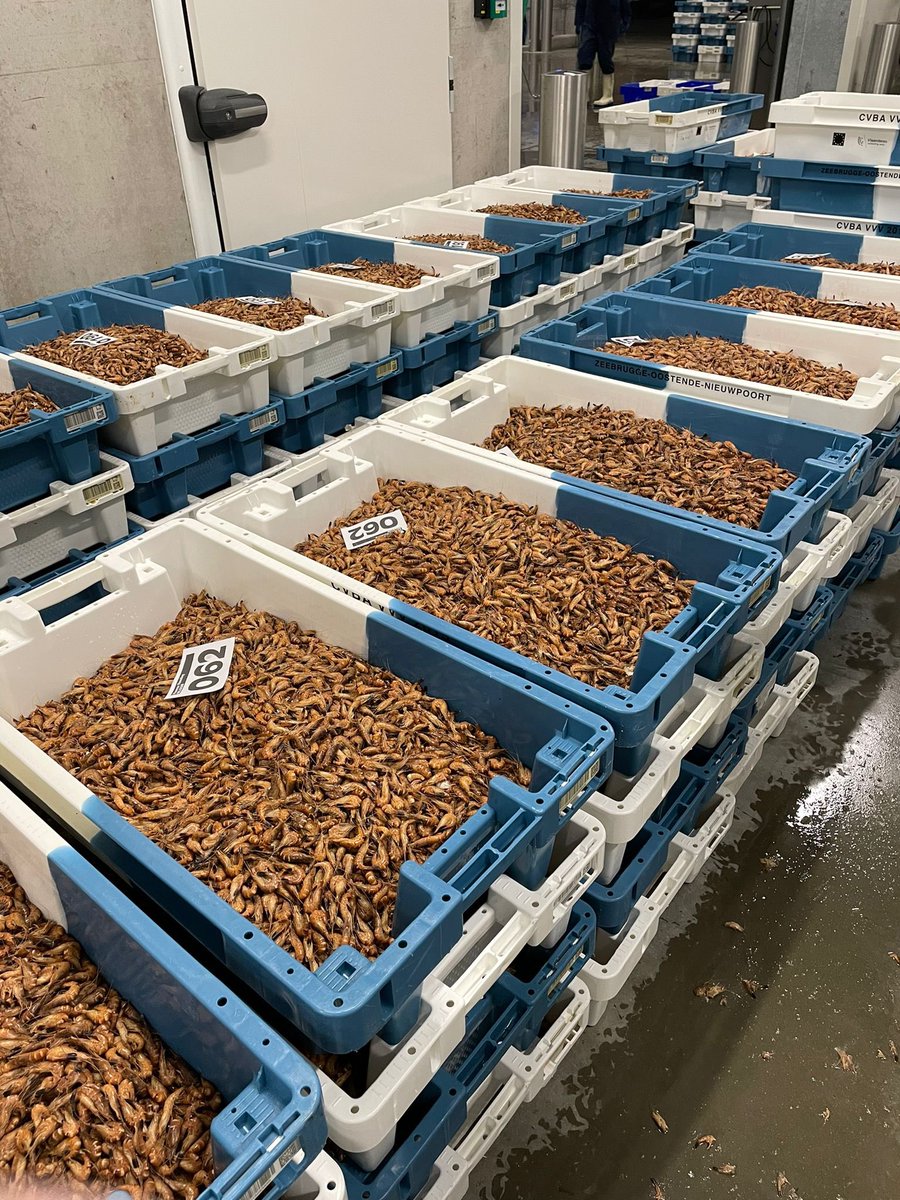 Commissie Landbouw <a href="/vlaparl/">Vlaams Parlement</a> bezoekt ILVO, VLIZ en Vlaamse Visveiling in Oostende. Interessante dag met o.a. info over duurzaamheidsanalyses voor #visserijverduurzaamt, aquacultuur, ruimte op zee voor traditionele en nieuwe functies en nieuwe feiten over plastic in zee.