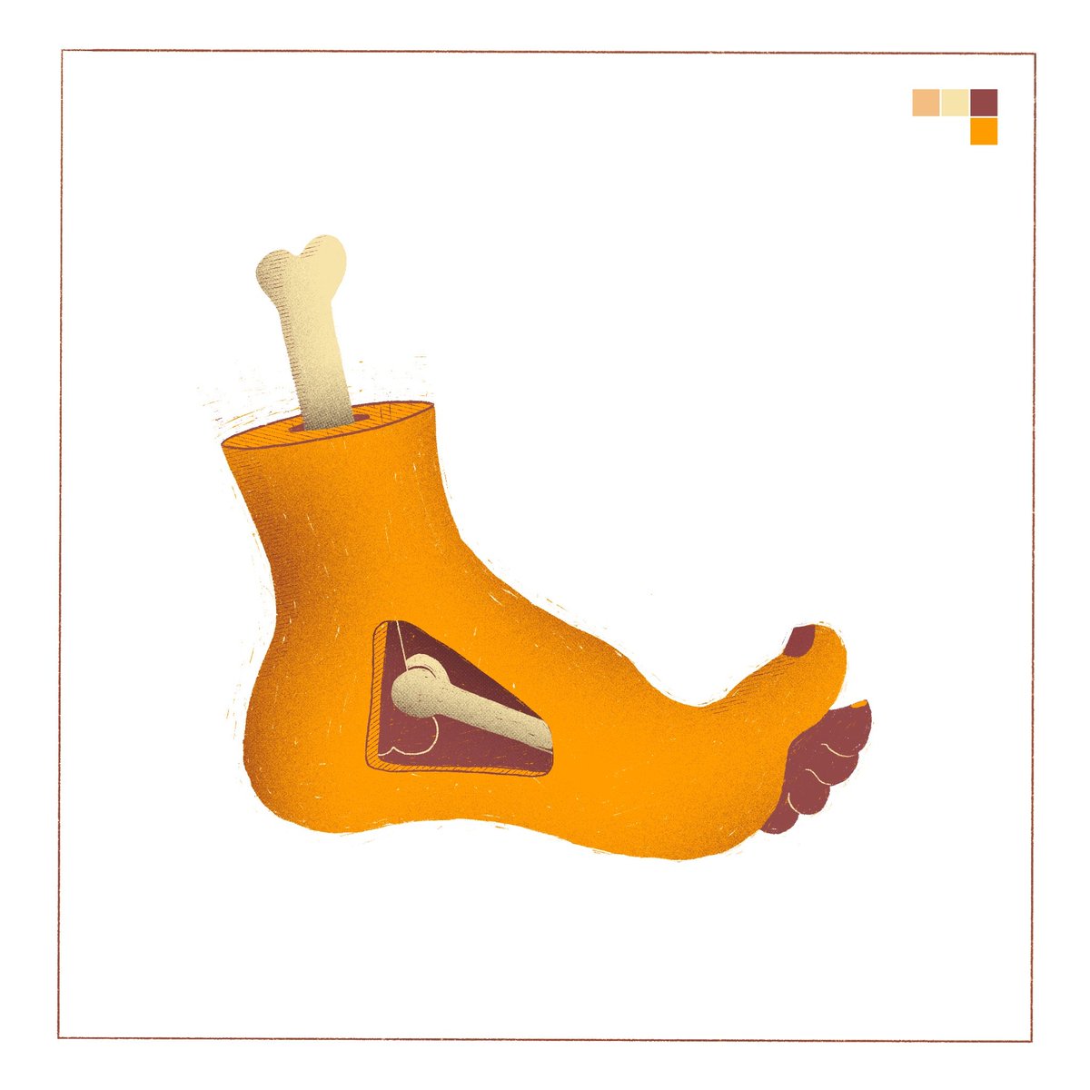 Foot anatomy
#illustraion #illustrationart 
#procreate #printmaking