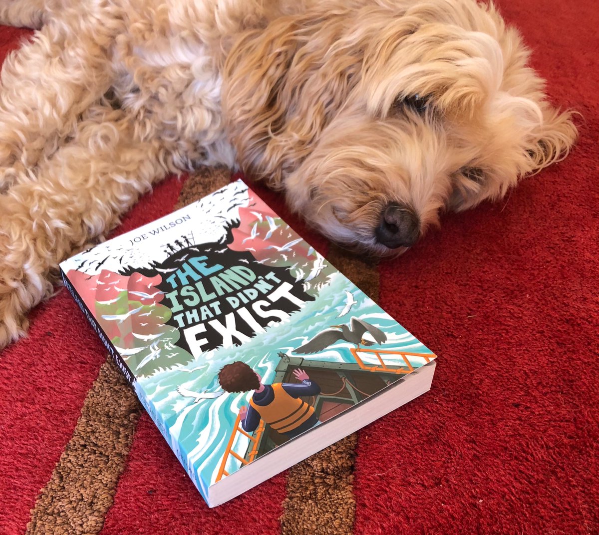 Really enjoyed speaking to the bright and positive year 6 children at <a href="/DovedalePrimary/">Dovedale Primary Sch</a> on my day off today. Thanks to <a href="/Hamlett_93/">LDH</a> and to my dog (kind of…)