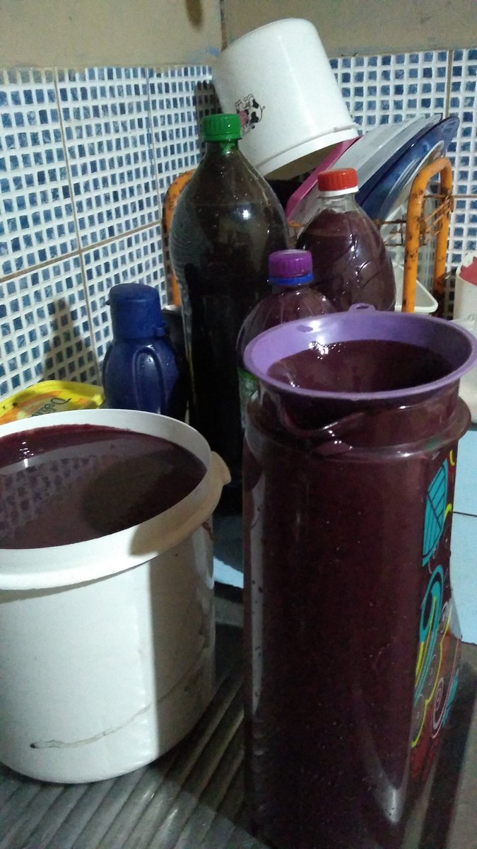 pantojajuliana_'s tweet photo. Tiraram 20L de açaí do meu quintal. VOU TOMAR AÇAI ATÉ NO CAFÉ DA MANHÃ #PASSSSSS https://t.co/ZaWfJokVMZ