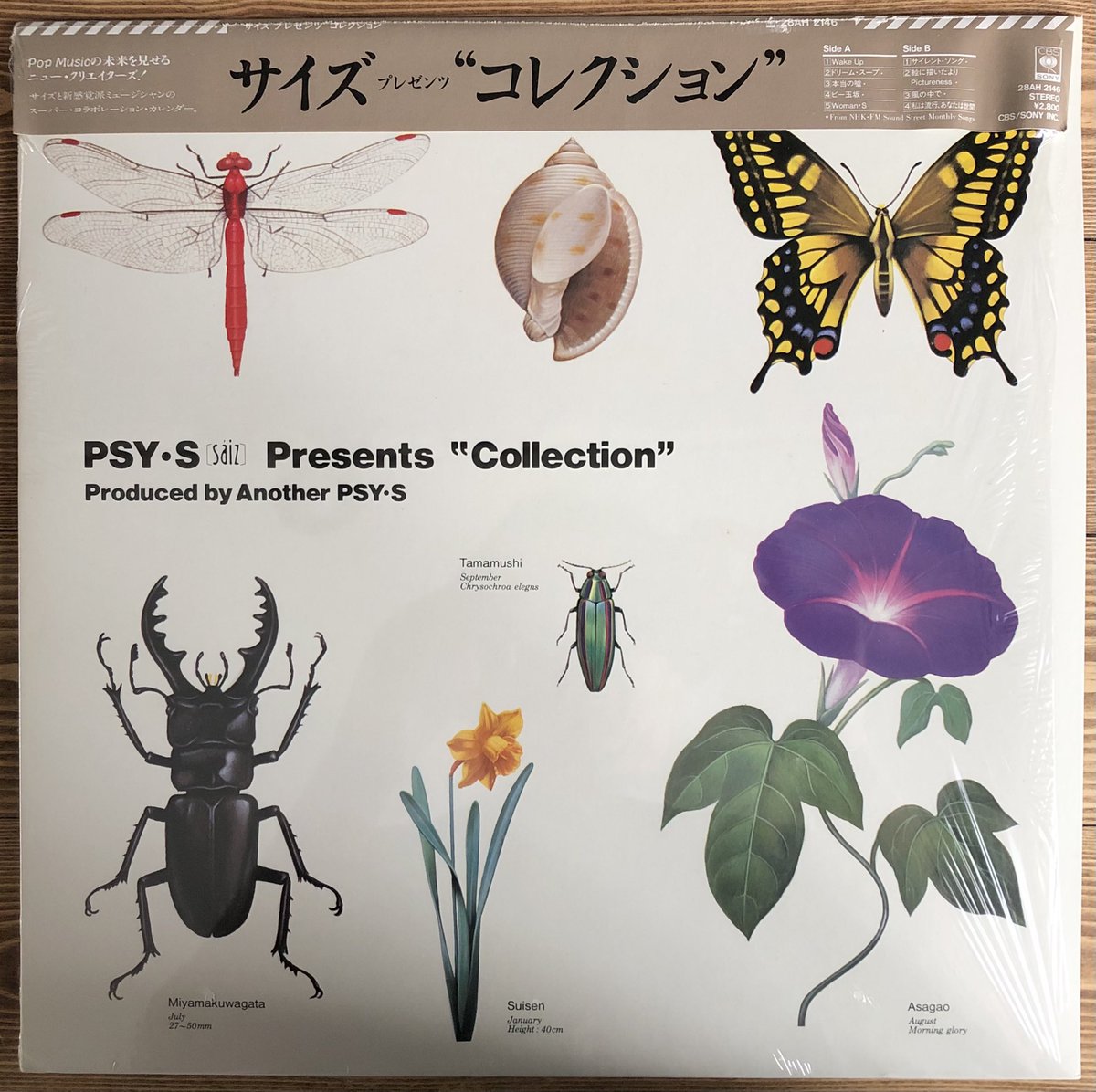 gunfornothing's tweet photo. PSY・S Presents “Collection” (1987)

ちゃんと聴けてない要復習盤

https://t.co/CxTFRwNDnP https://t.co/ZmaTsMRril