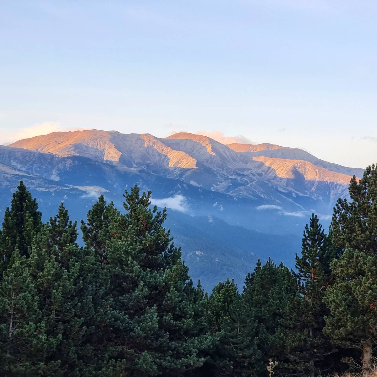 ricardrigall's tweet photo. El Canigó al capvespre, vist des de Coll Pregon. #collpregon #canigó #lapresta #pratsdemolló #vallespir #espinavell #fabert #molló #ripollès #bicicleta #btt #mtb #tardor2021 https://t.co/xdMKRyyft5