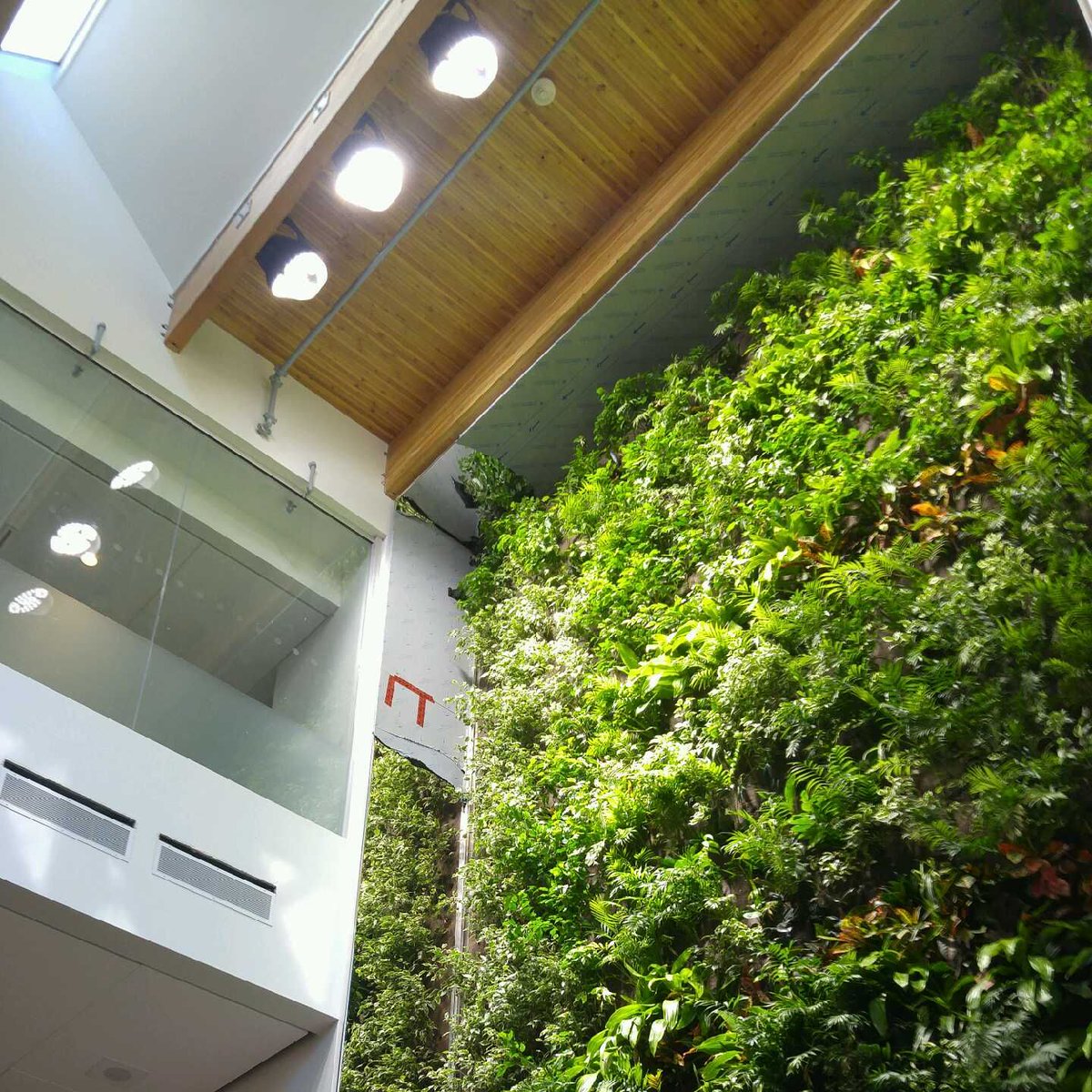 GroupNedlaw's tweet photo. Research shows that the presence of greenery in schools, and public spaces improves #concentration, stimulates #creativity and #productivity.
A #NedlawLivingWalls Project: @HavergalCollege 
Toronto, ON
Clean air, naturally 🌱
#biofilter #nedlaw #greenwalls #greendesign #biowall https://t.co/UTmDc9gCwk