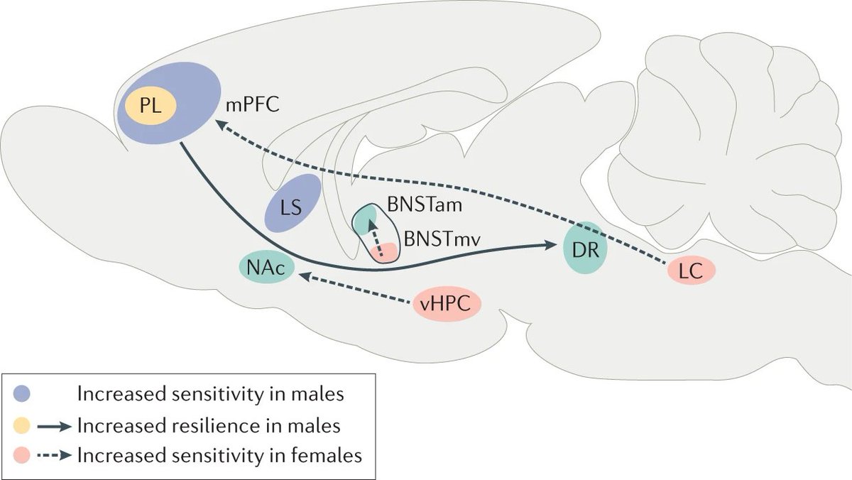 Nature Rev Neurosci tweet media