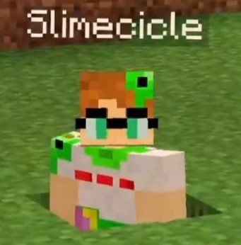 slimepile's tweet photo. (dsmp, headcanon)

c!slimecicle doesn't quite know what creepers are, but he loves 'em! https://t.co/ItE8bQmbze