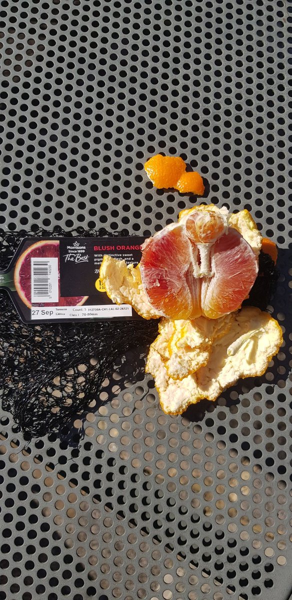 InMyFruitBowl's tweet photo. Tarocco with a navel? Not likely. This is probably a Cara Cara Navel, slipped in the pack as a substitute pigmented orange and has no where near the flavour of a true Tarocco. Not the Best @Morrisons! https://t.co/zM4NSTuGIl