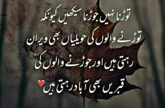 saifal_h's tweet photo. https://t.co/zVKk2IwO8k