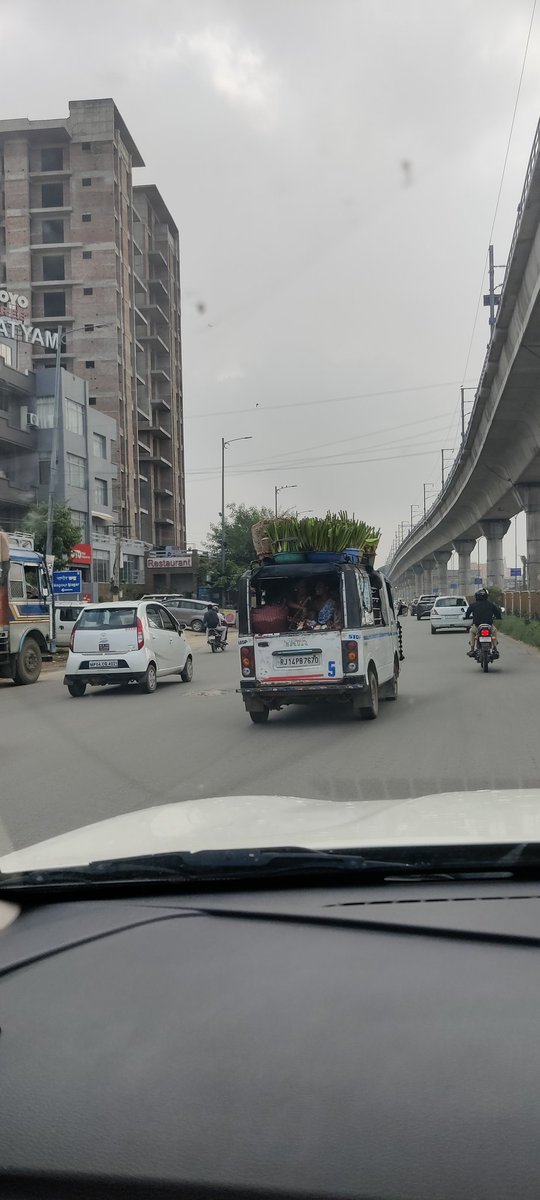 mailgeorgian's tweet photo. @RajPoliceHelp महोदय कुछ दिनों से जयपुर में एक पौधे बेचेने वाला गिरोह सक्रिय है जो कभी B2 बाईपास पे तो कभी Queens रोड जैसी जगह पे खड़े हो कर खरपतवार जैसे पौधे रंग कर के  बेच रहे है आम जन को ठगने का नया तरीका लाये है । उनकी ठगी से फुटकर व्यपारियों का नुक़सान तय है। https://t.co/qKknuxzEi7
