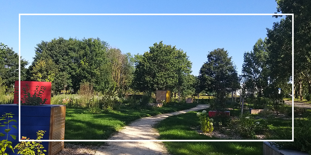 KloraneFond's tweet photo. Des news en images du "#Jardin des deux boucles", le lauréat du prix #BotanyforChange 2021, implanté à Roissy-en-France 🌳🌱🌿https://t.co/zvoD9iFoY6 #AgricultureUrbaine #Environnement https://t.co/jPm5VoO2Z1