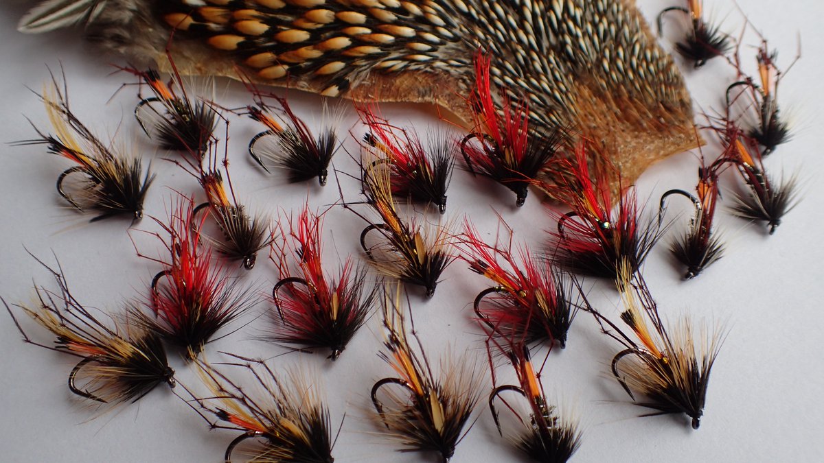 g_bfishing's tweet photo. Required next week - this morning's wee brown trout rushed order. The legs are in demand - coesau ( leggy ) Pennell, usual Pretender and a requested Claret Pretender variant. Be interested to hear how that one performs. I can't do any more ' quick ' orders - October earliest now. https://t.co/0flwDwM8q0