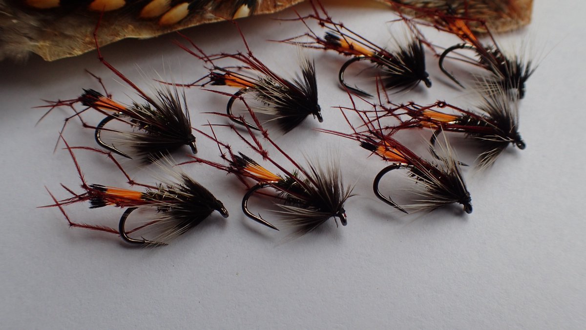 g_bfishing's tweet photo. Required next week - this morning's wee brown trout rushed order. The legs are in demand - coesau ( leggy ) Pennell, usual Pretender and a requested Claret Pretender variant. Be interested to hear how that one performs. I can't do any more ' quick ' orders - October earliest now. https://t.co/0flwDwM8q0