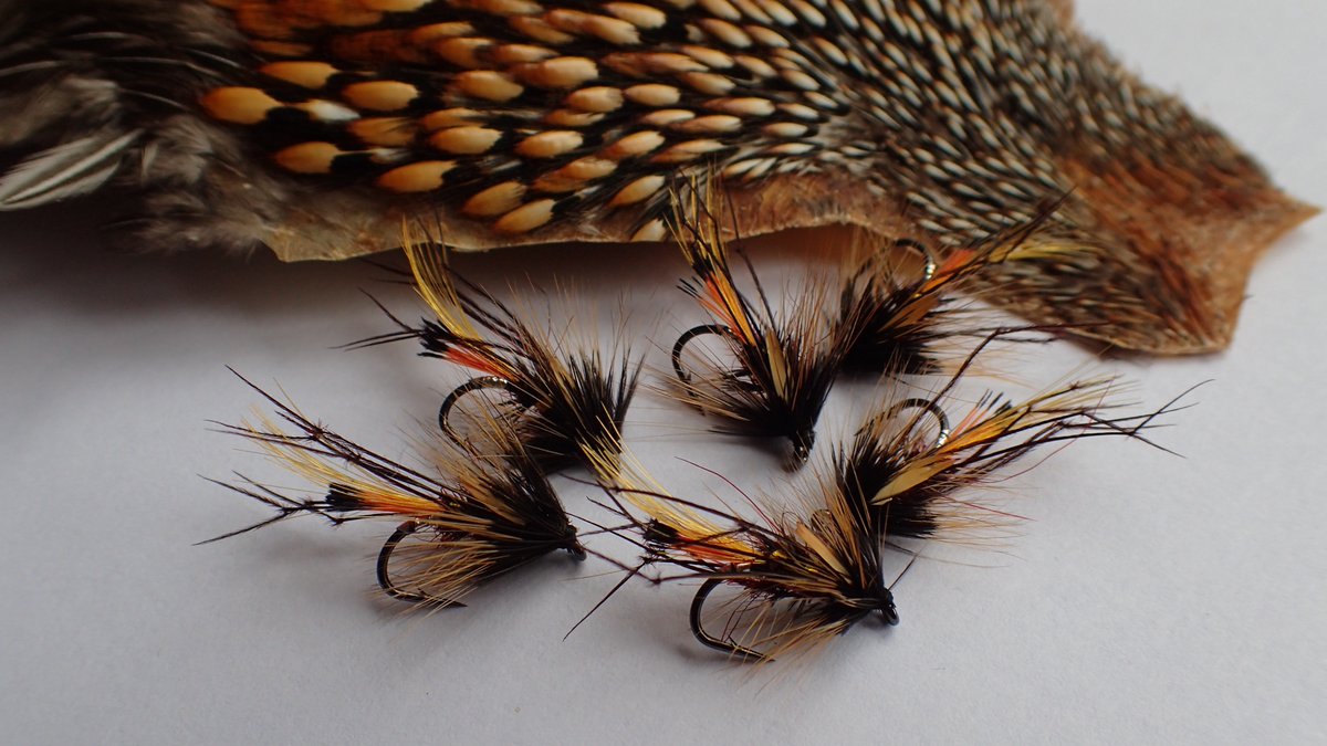 g_bfishing's tweet photo. Required next week - this morning's wee brown trout rushed order. The legs are in demand - coesau ( leggy ) Pennell, usual Pretender and a requested Claret Pretender variant. Be interested to hear how that one performs. I can't do any more ' quick ' orders - October earliest now. https://t.co/0flwDwM8q0