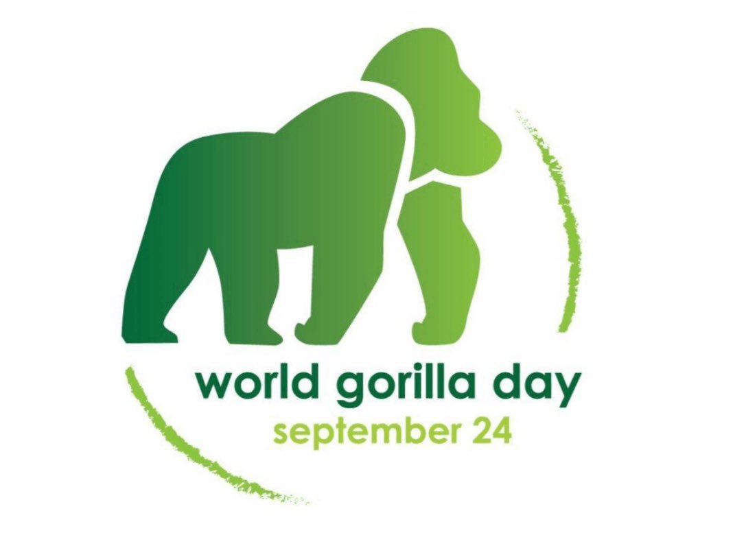 🎉 It’s #WorldGorillaDay! 🦍

The #FEGarmy loves our partner, <a href="/pasaprimates/">PASA Primates</a>, for working to save endangered gorillas.

👉 Donate to #PASA (pasa.org/donate)
👉 $FEG is on FEGex (FEGex.com)

#BringingDeFiTogether #BTC #ETH #ADA #BNB #Solana $AMC #DeFi #crypto