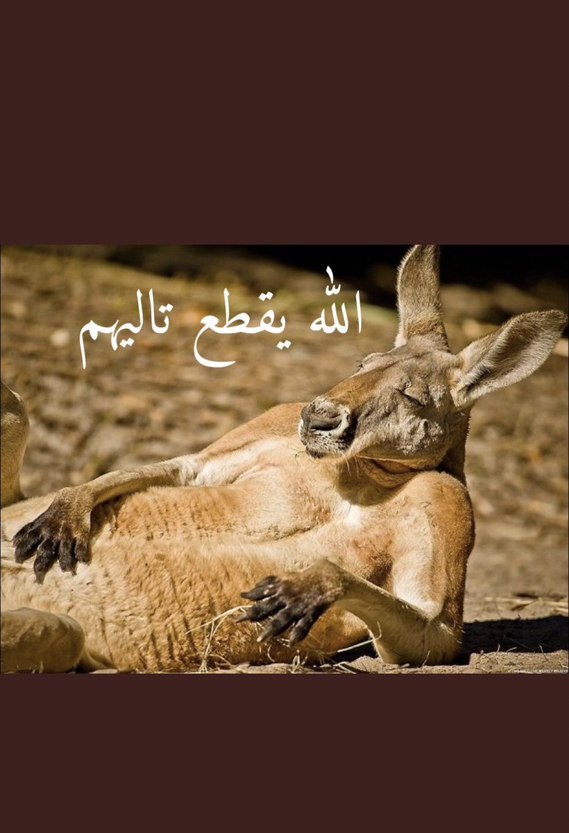 tyuio33's tweet photo. #اختطاف ياتني يلطه من لينا😡 https://t.co/hBw0LZ8BO9
