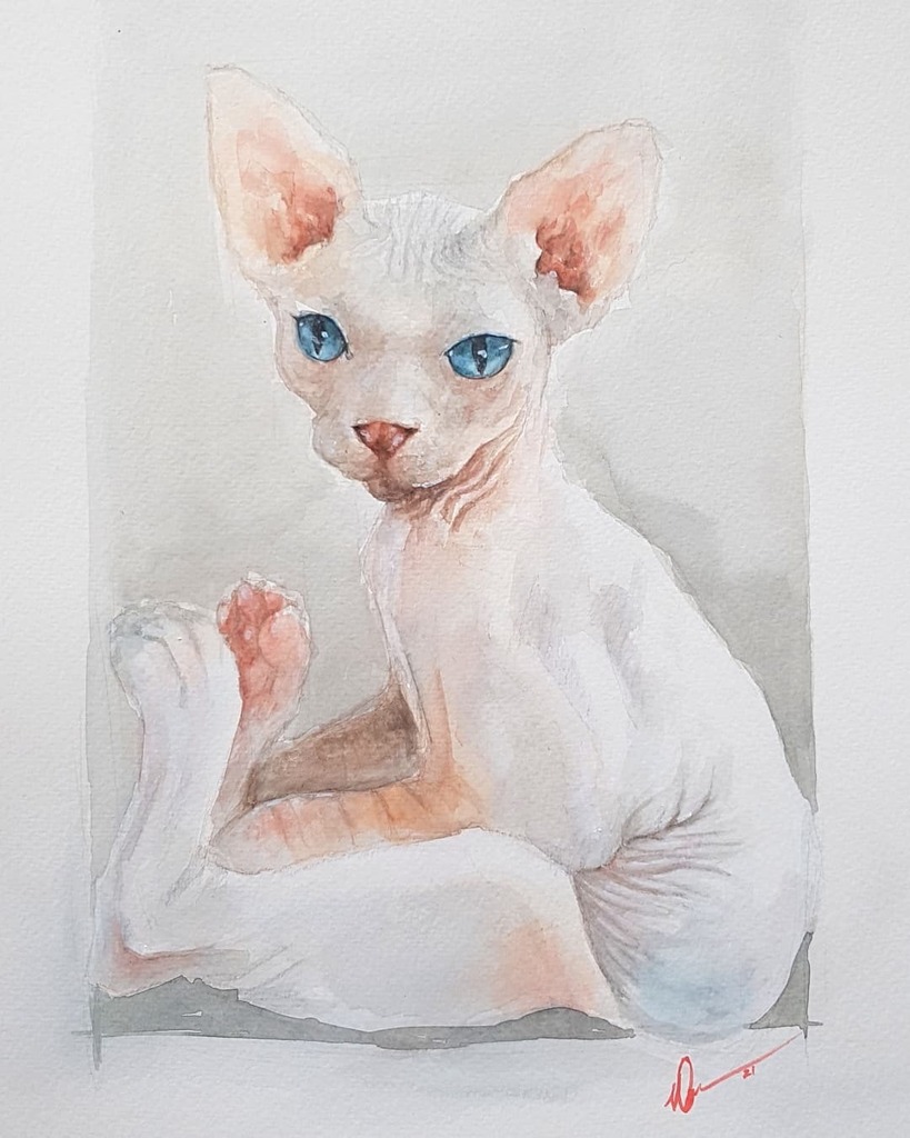 #Watercolor on paper, first #painting Ive finished for a while!
I saw this picture from ig #boristhebaldie and the colours really called to me.
.
#sphynx #sphynxcat #sphynxkitten #sphynxtagram #cat #catlover #petportrait #sphynxportrait #sphynxlove #art … instagr.am/p/CUNGy11qyTP/