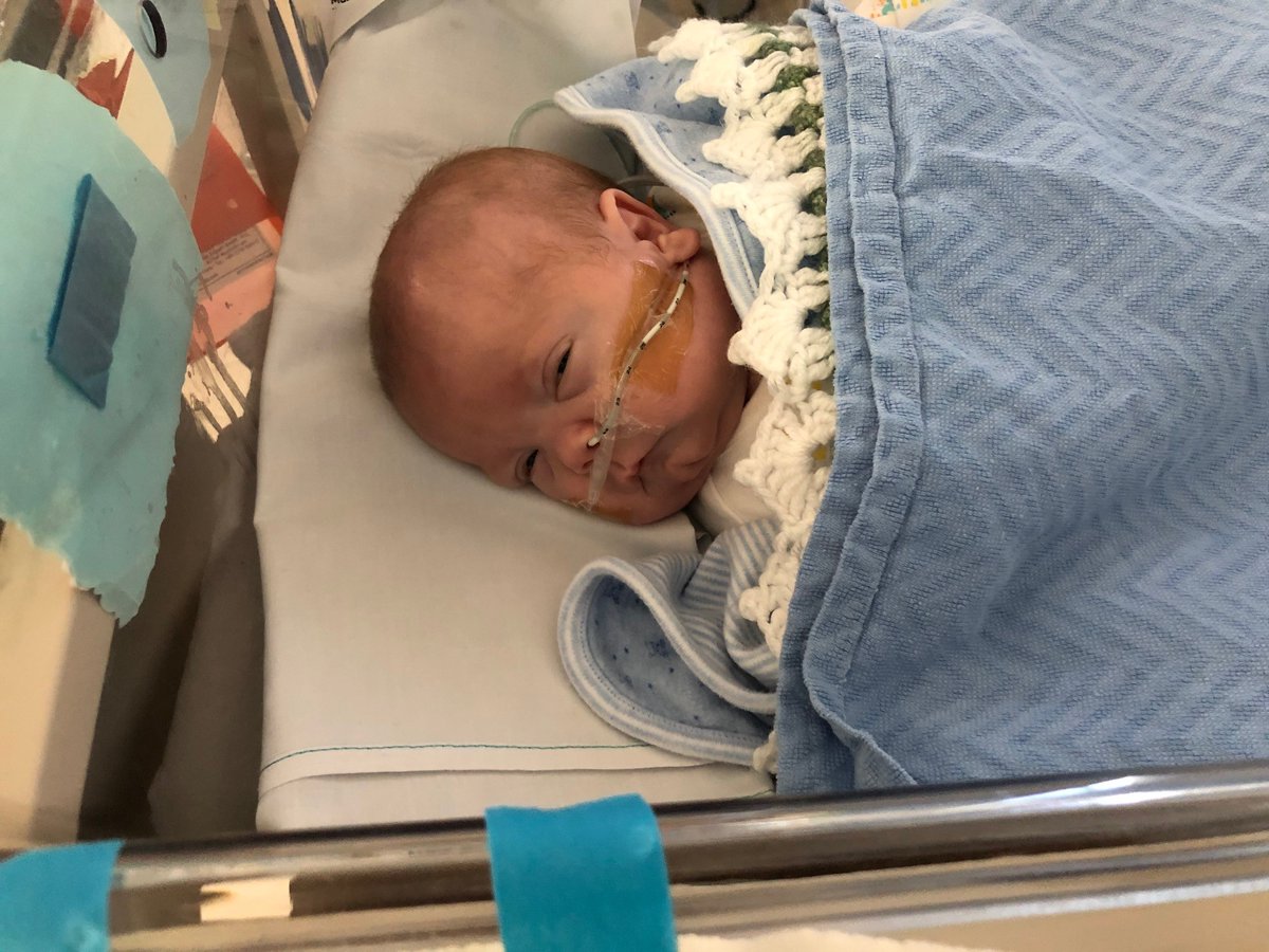 RotundaCharity's tweet photo. The amazing NICU team WERE Oisín’s first family and while our family were living for the moment that they could meet him, we were blessed that he had such a caring, loving, dedicated, positive “family” around him at that time.
#RotundaBaby #NICU #NICUStrong https://t.co/BDGLh0dAvy