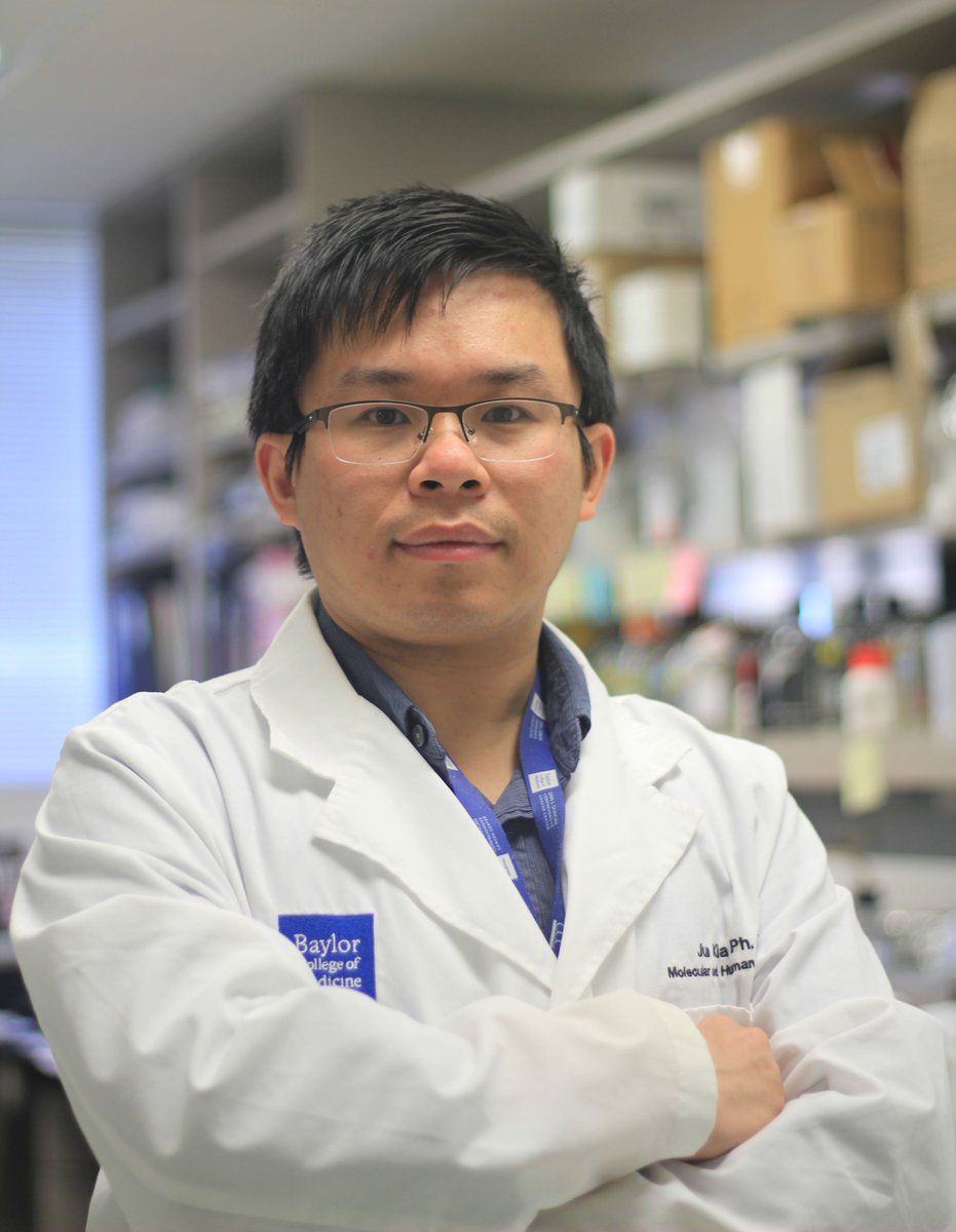 bcmhouston's tweet photo. Meet postdoctoral trainee, Dr. Jun Xia! He recently received the prestigious K99/R00 pathway to independence career transition award from the NIH National Institute of Environmental Health Sciences. #NPAW21 #BCMPostDocs https://t.co/fHX5cc0mgc