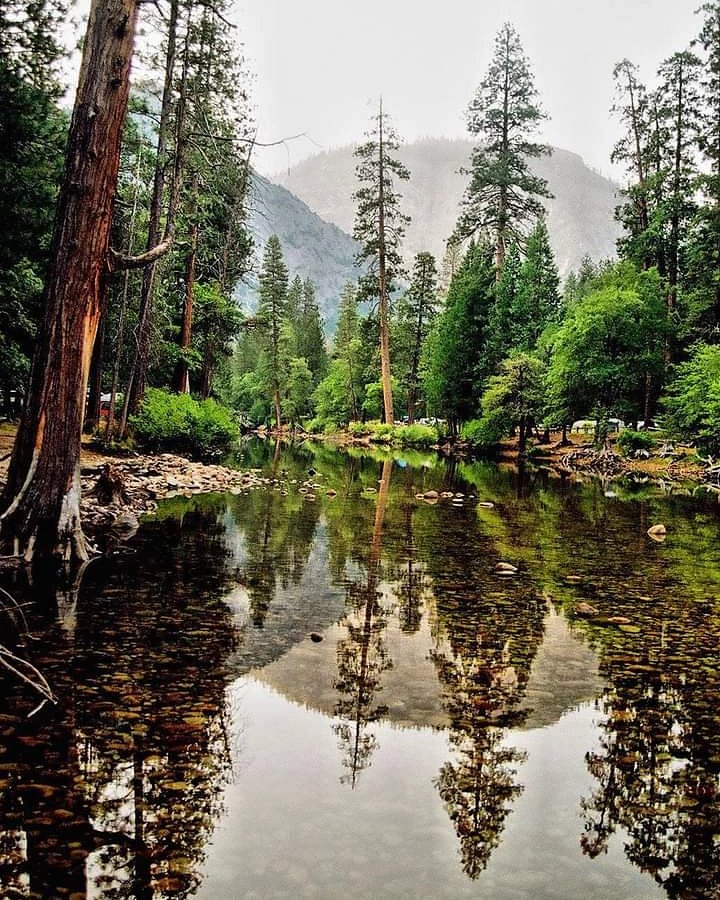 Vintage Yosemite.. Pentax PZ10 film camera.
