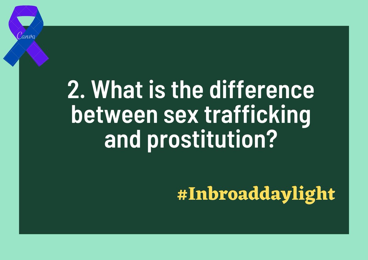 Peace Tree Network tweet media