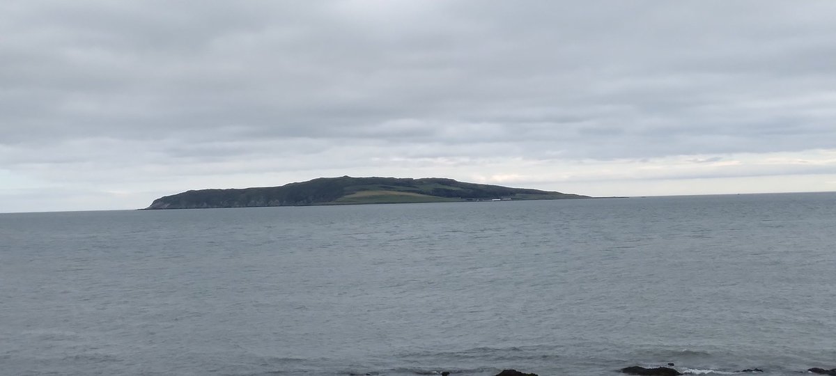 Fingal Rowing Club tweet media