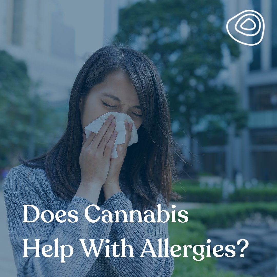 terrabis's tweet image. A study on mice showed that administration of the #terpene #alphapinene, was effective in treating allergic #rhinitis, which is one of the most common #allergies affecting populations across the world. 🌎
Learn more about 🍃 for allergies 👉 buff.ly/2Zqduxv
#fallallergies
