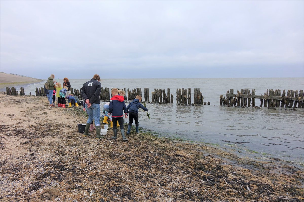 Kinderen uit Noordoost-Friesland genieten mee van Wadopera - rtvnof.nl/kinderen-uit-n…