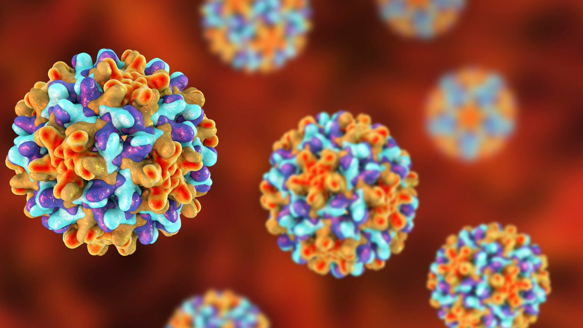 HepBFoundation's tweet photo. A team of scientists from the #HepatitisB Foundation conducted a study involving in-depth interviews with people living with hepatitis B. Patients were asked their thoughts about the possibility of a functional cure: https://t.co/Pm1ryMlHCy https://t.co/DI28EH35yX