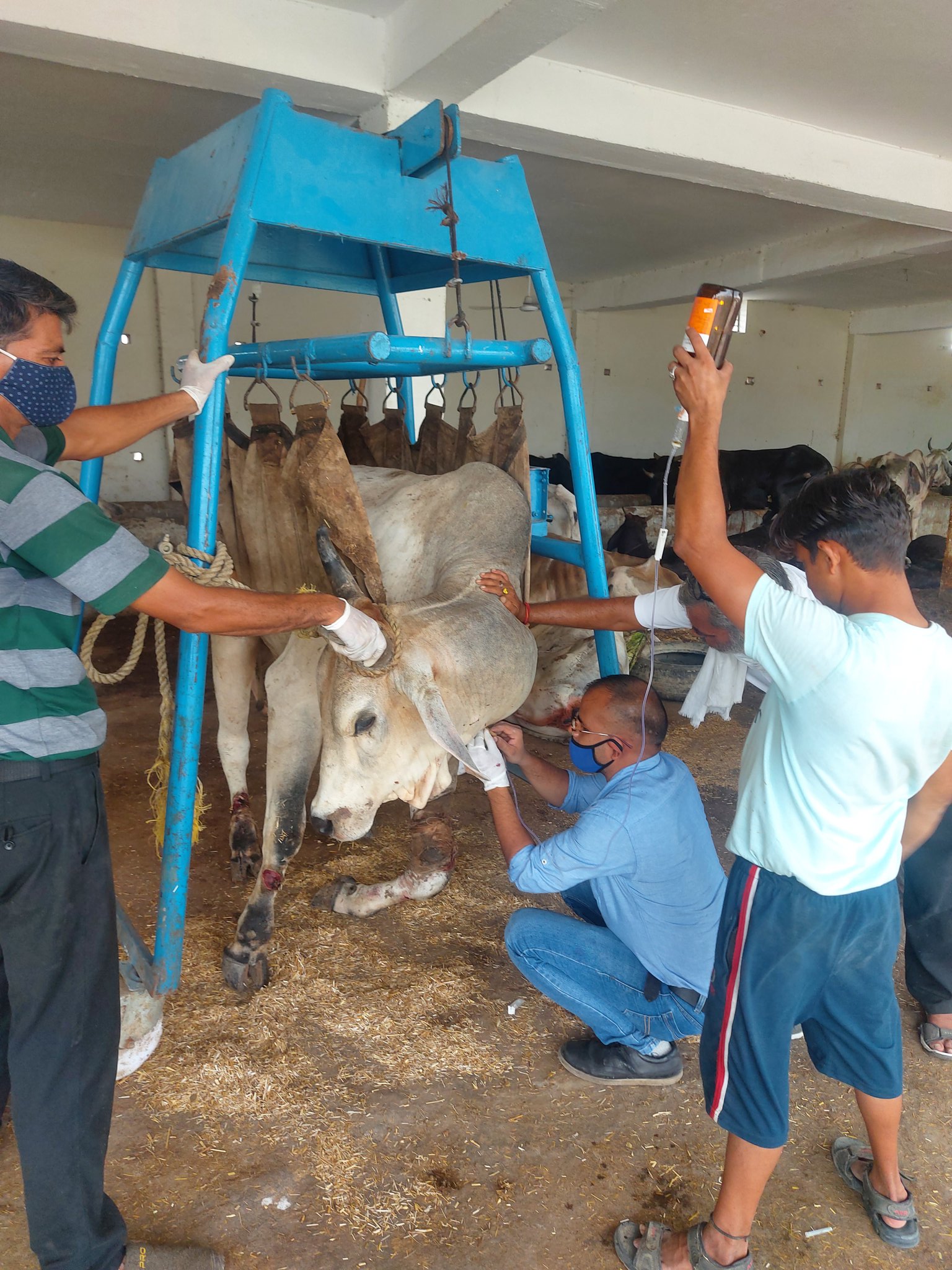 People For Animals Trust Faridabad on Twitter: People For Animals Trust Faridabad on Twitter: